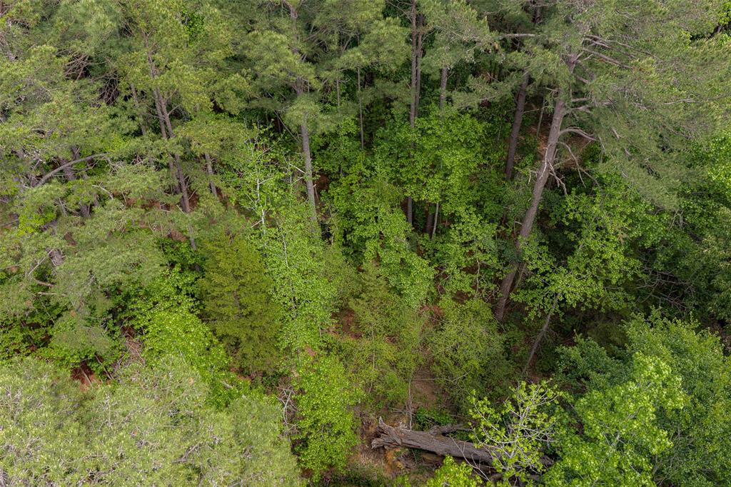 2029 W State Highway 294 Property Photo 35