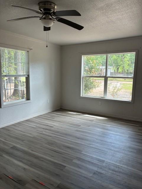 120 Pierce Drive Property Photo 19