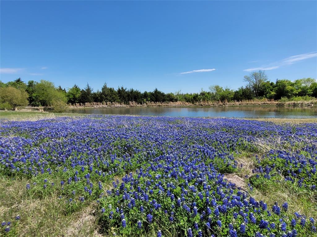 6824 Us Highway 175 Property Photo 1