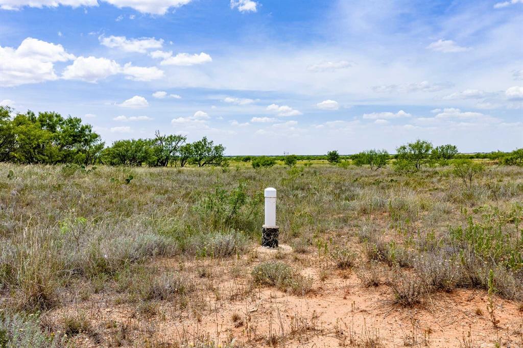 Tract 3 Cr 463 Property Photo 2