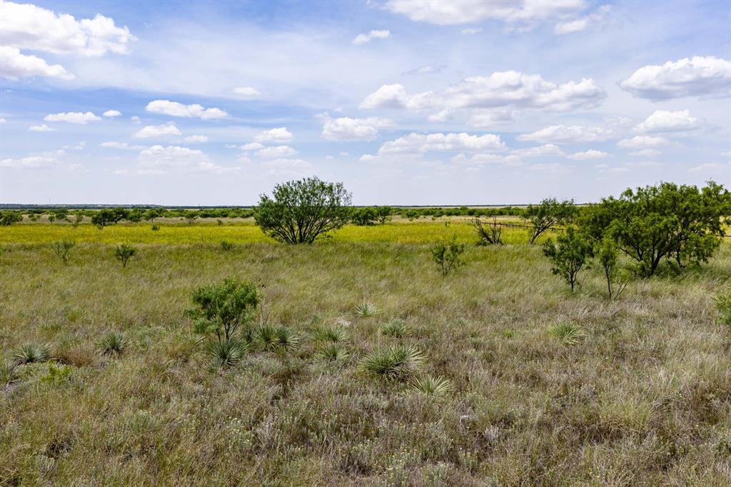 Tract 3 Cr 463 Property Photo 8
