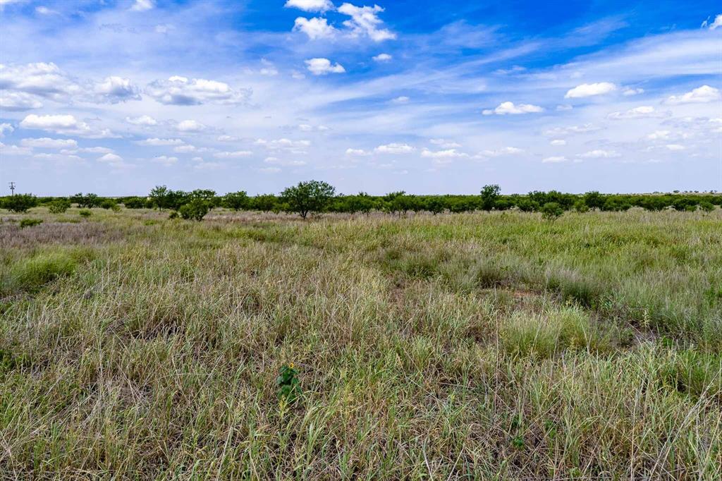 Tract 3 Cr 463 Property Photo 16