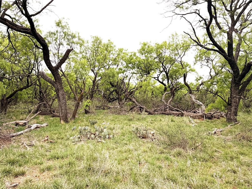 Tbd Cr 156 Property Photo 4