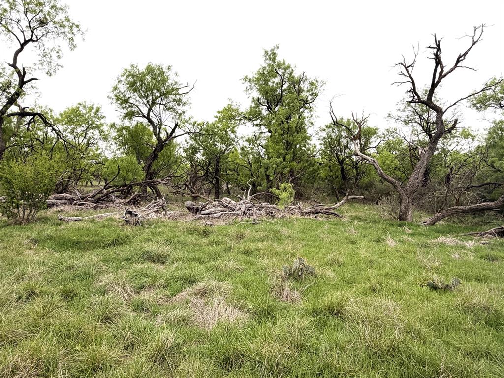 Tbd Cr 156 Property Photo 6