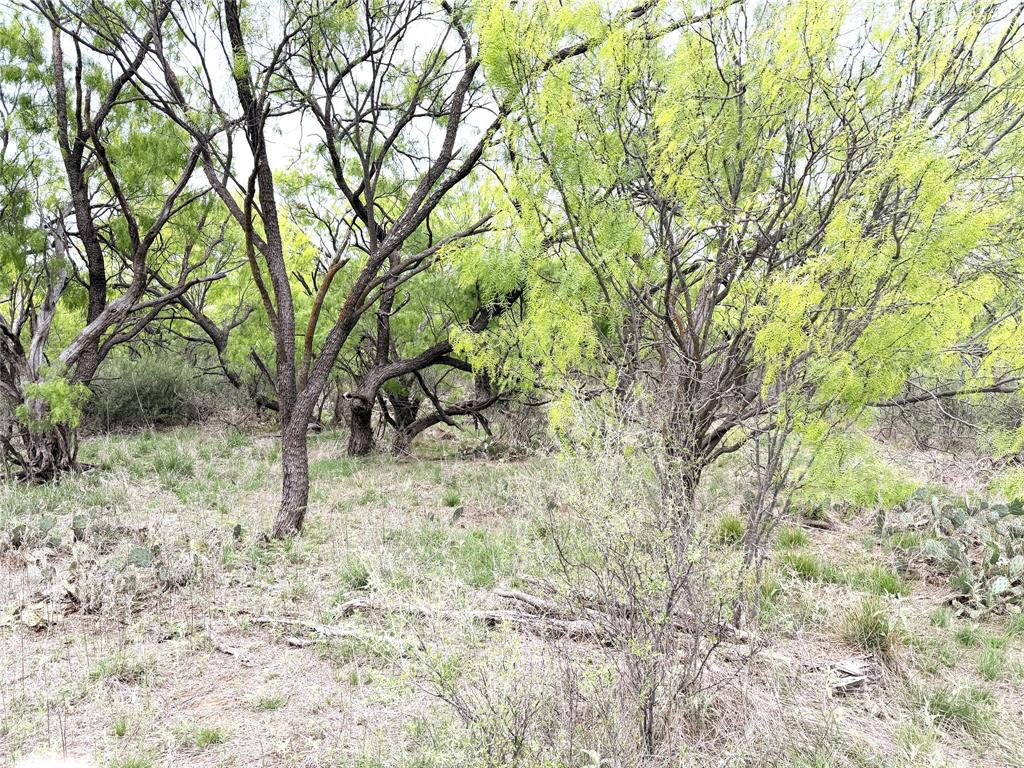 Tbd Cr 156 Property Photo 8