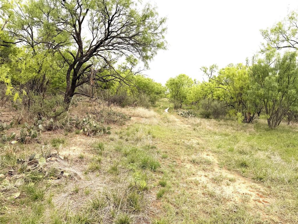 Tbd Cr 156 Property Photo 9