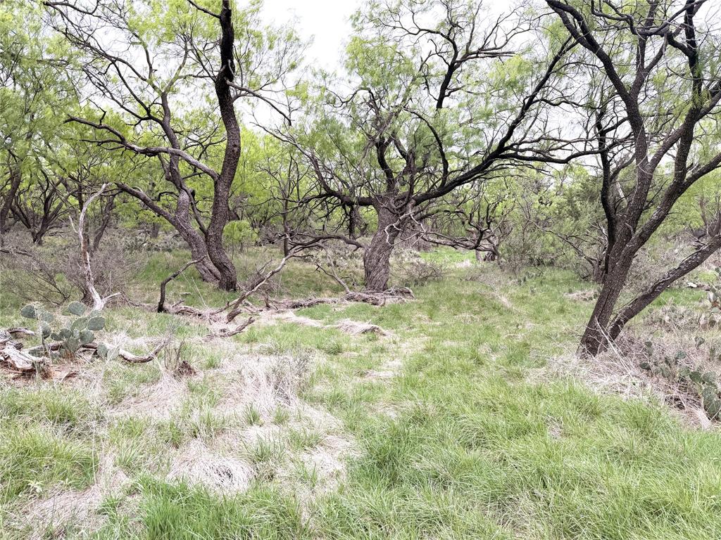 Tbd Cr 156 Property Photo 10