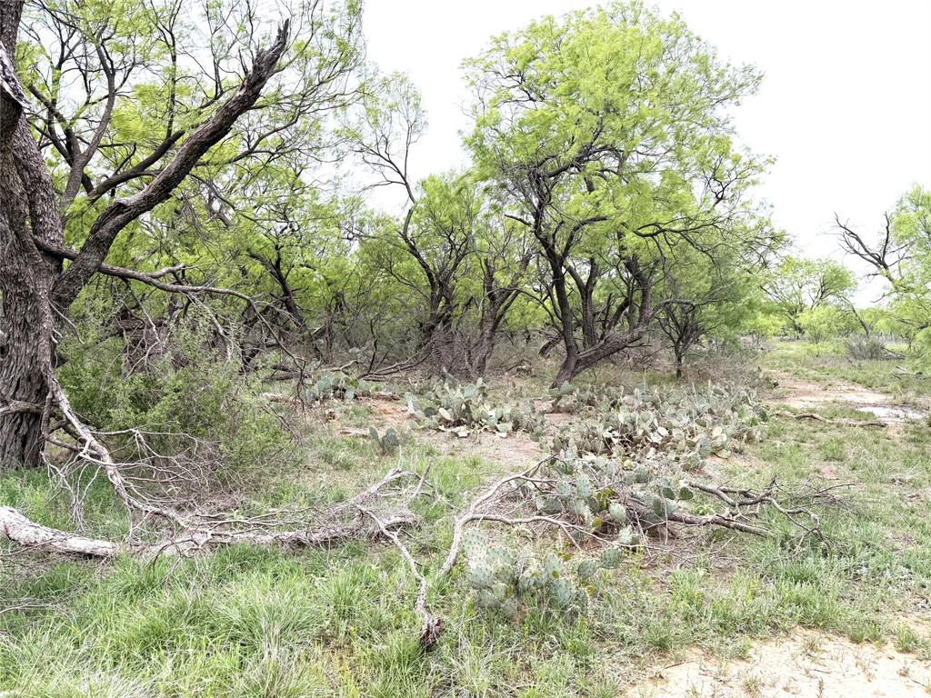 Tbd Cr 156 Property Photo 12