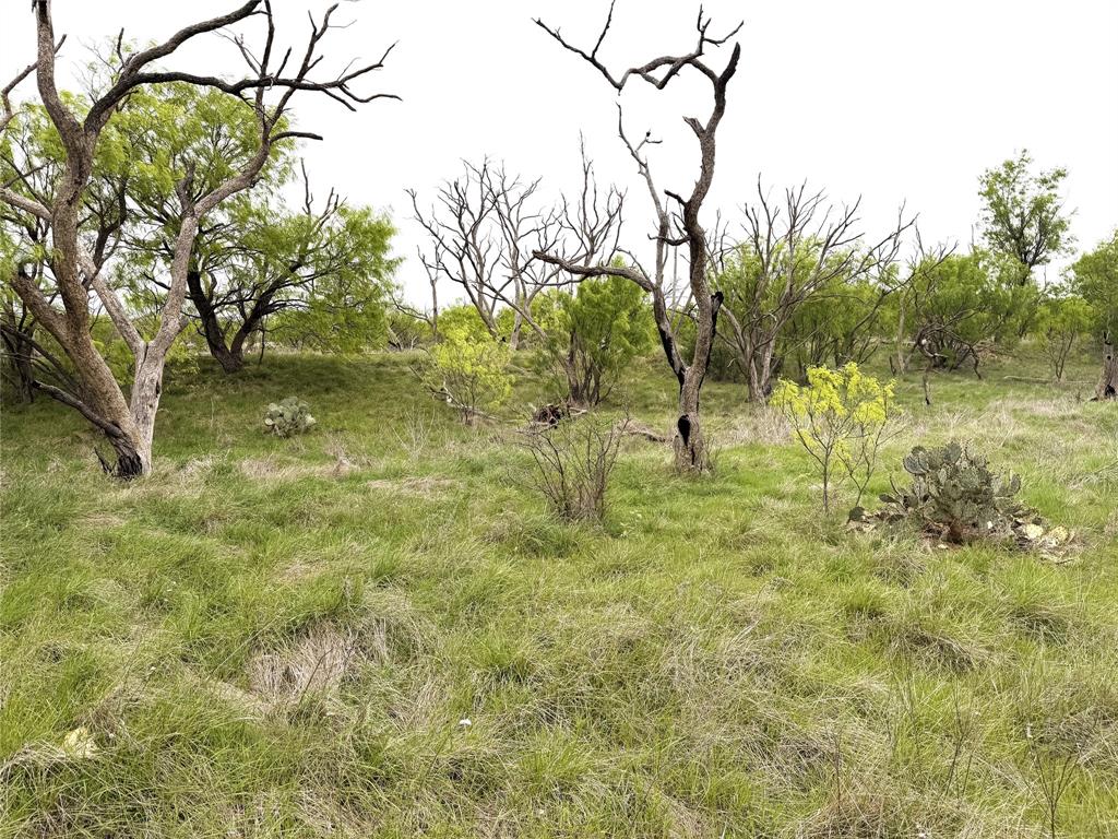 Tbd Cr 156 Property Photo 13