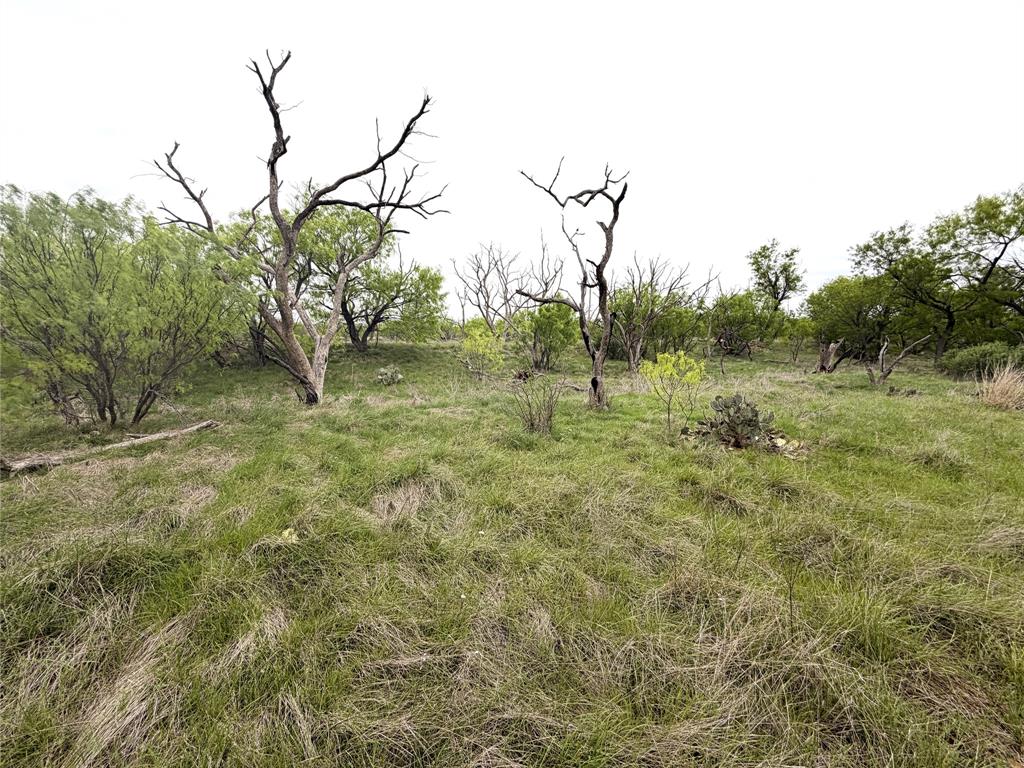 Tbd Cr 156 Property Photo 14