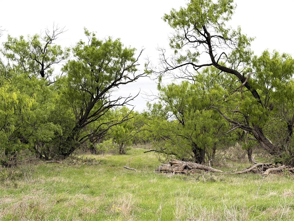 Tbd Cr 156 Property Photo 16