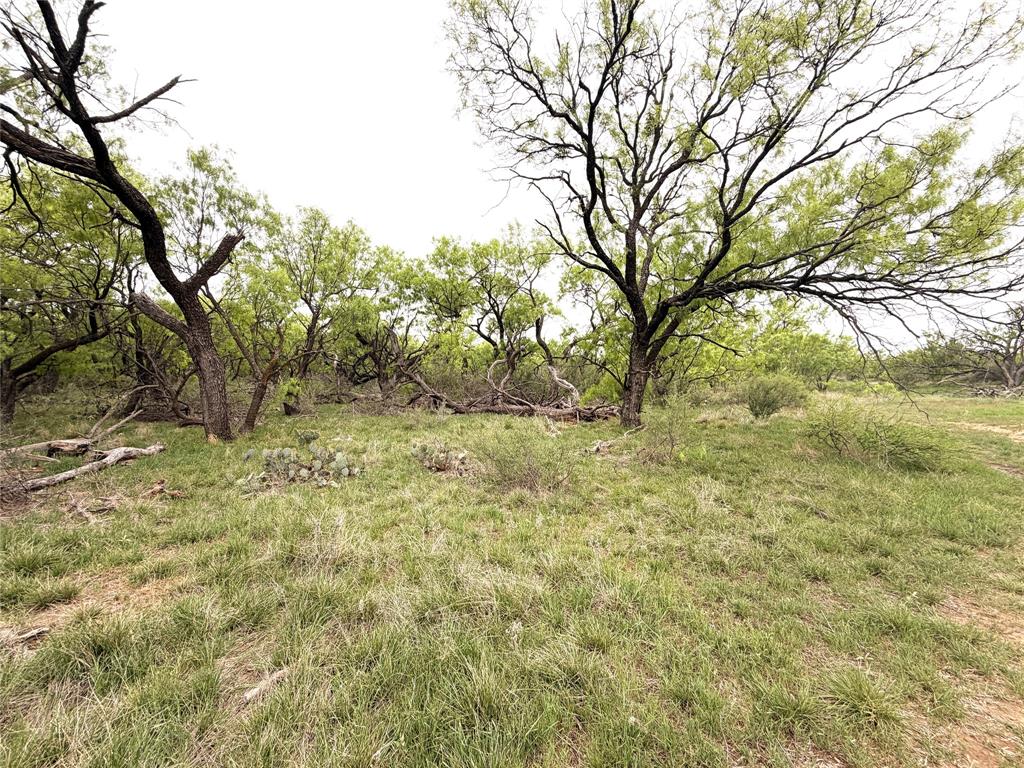 Tbd Cr 156 Property Photo 17