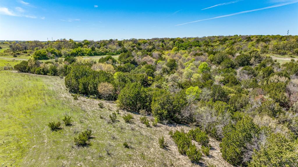 Tbd N Us Highway 281 Property Photo 18