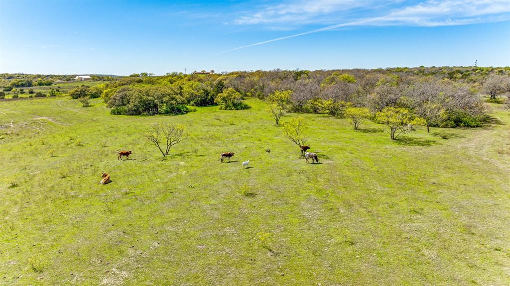 Tbd N Us Highway 281 Property Photo 23