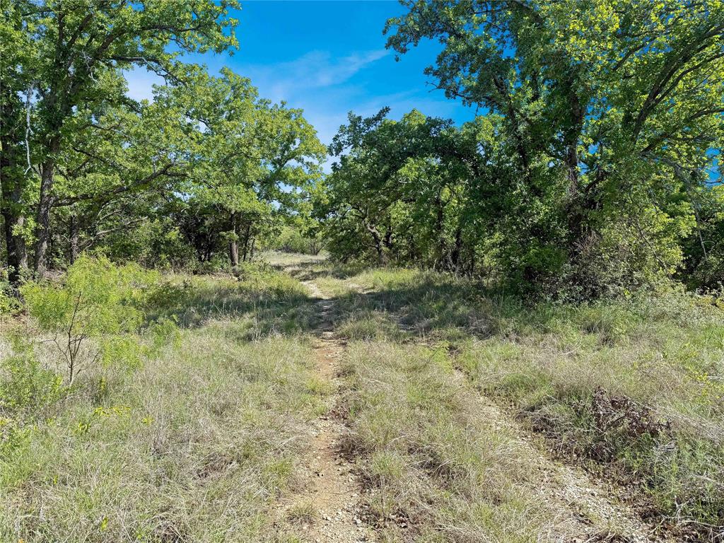 TBD HWY 183