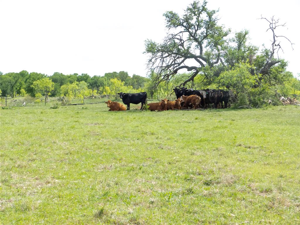 6500a Fm 586 Property Photo 8