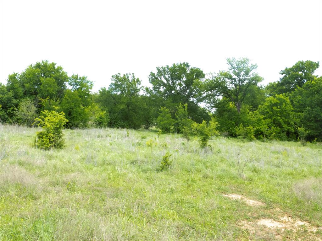 6500a Fm 586 Property Photo 9