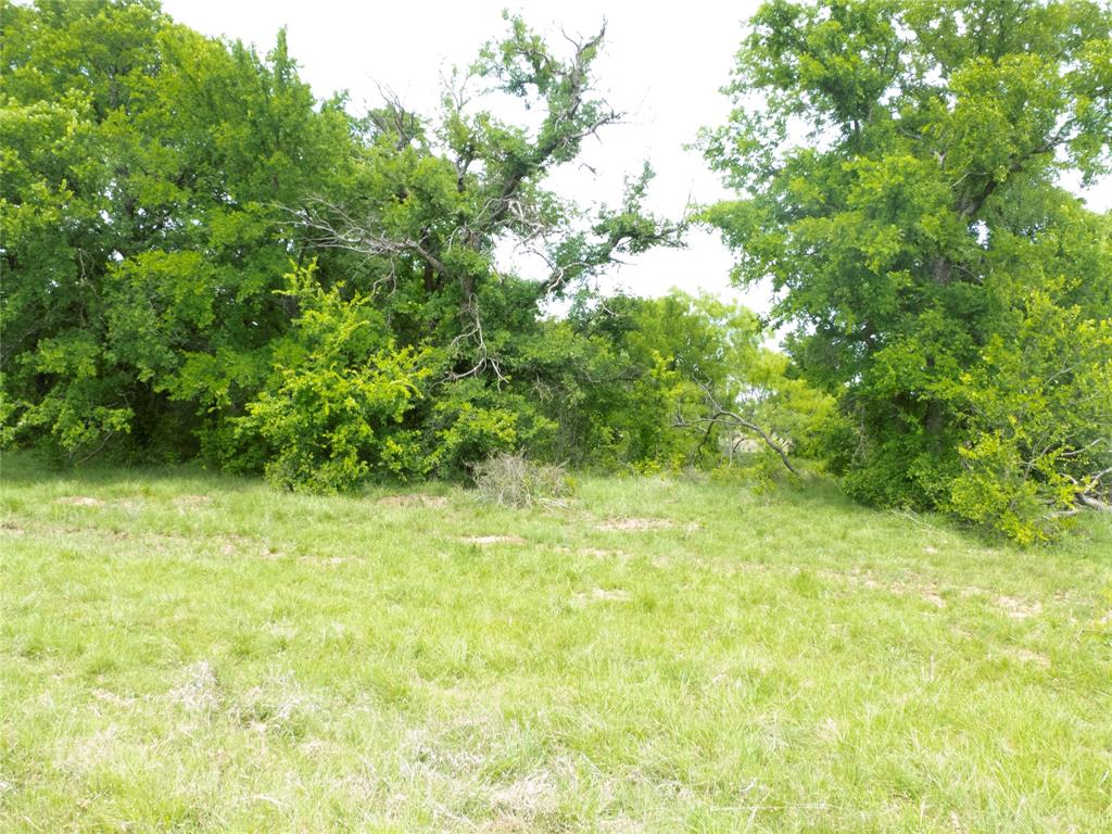 6500a Fm 586 Property Photo 10