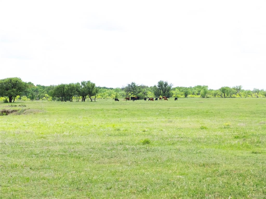 6500a Fm 586 Property Photo 13