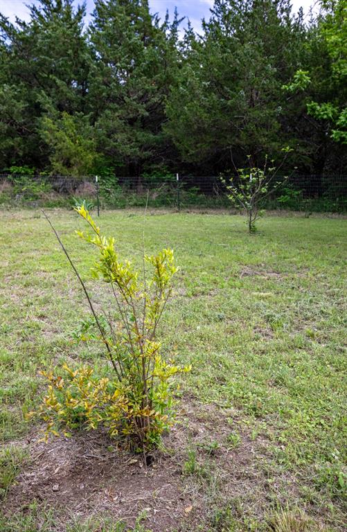 Tbd County Rd 663 Property Photo 17