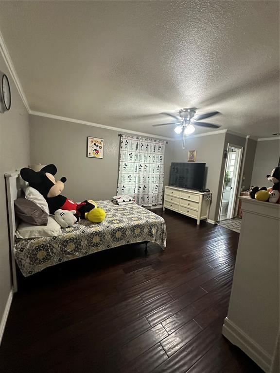 2317 Springridge Drive Property Photo 6