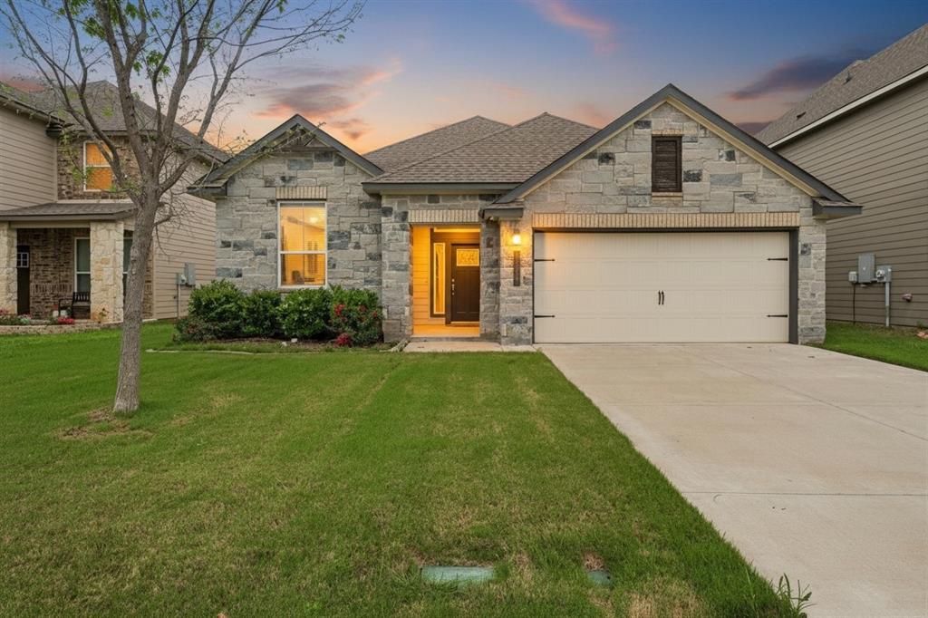 11217 Pallasite Court Property Photo 1