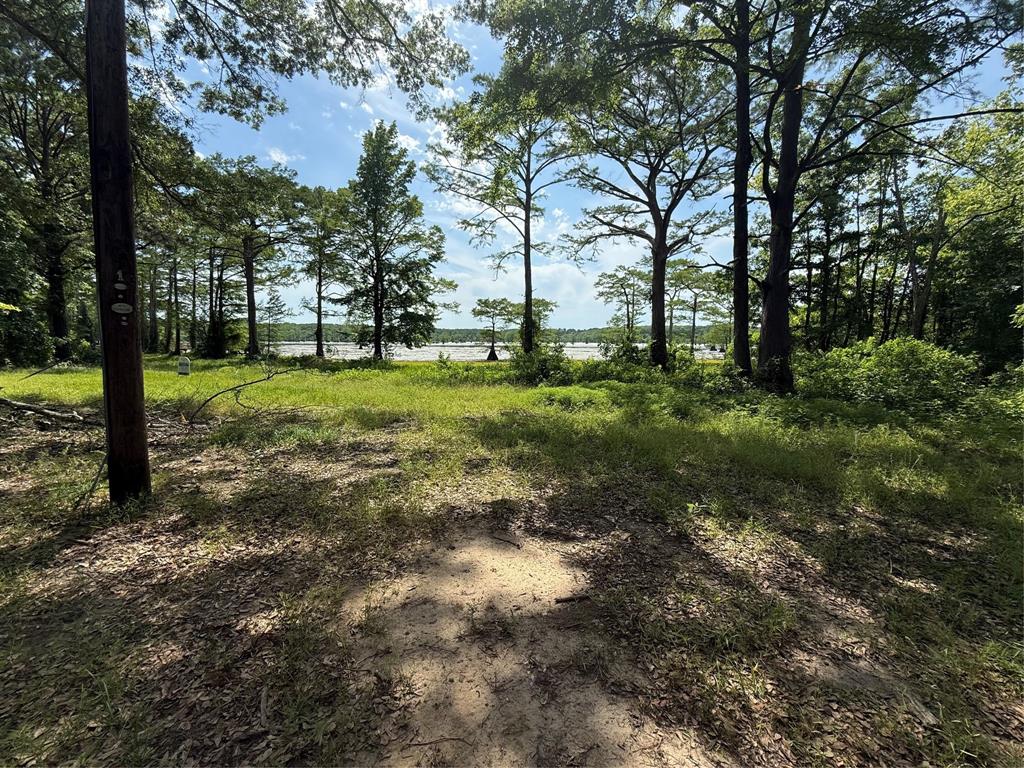 11756 Catfish Road Property Photo 14