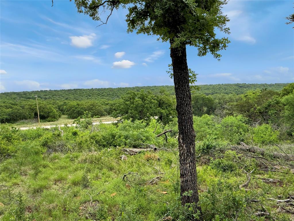 Tbd Hoahway Drive Property Photo 1