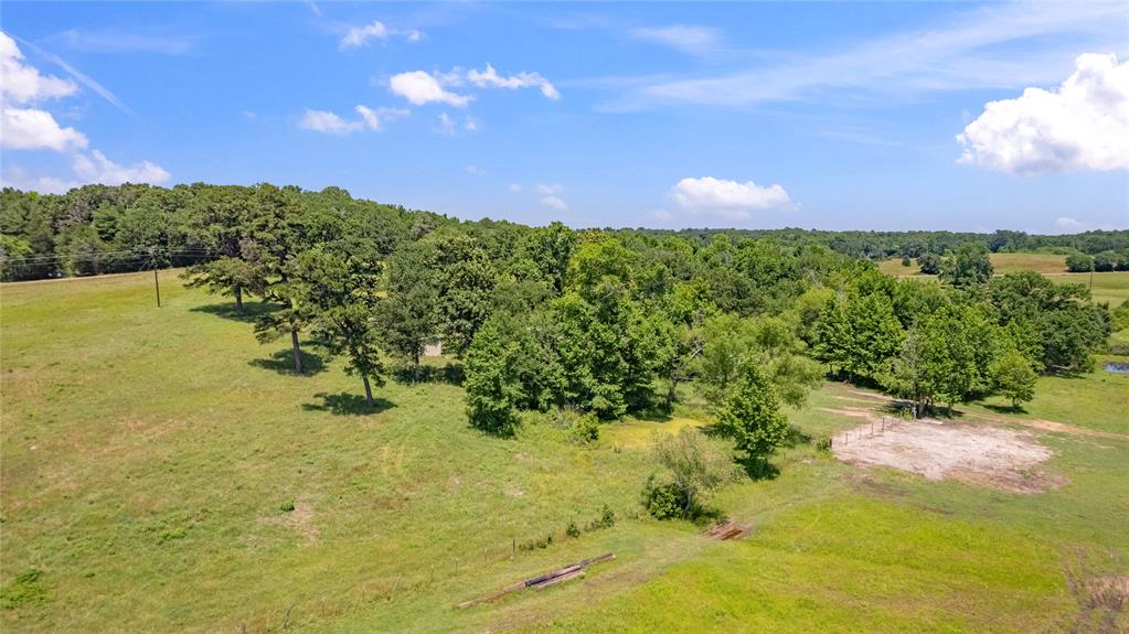 12250 County Road 3513 Property Photo 13