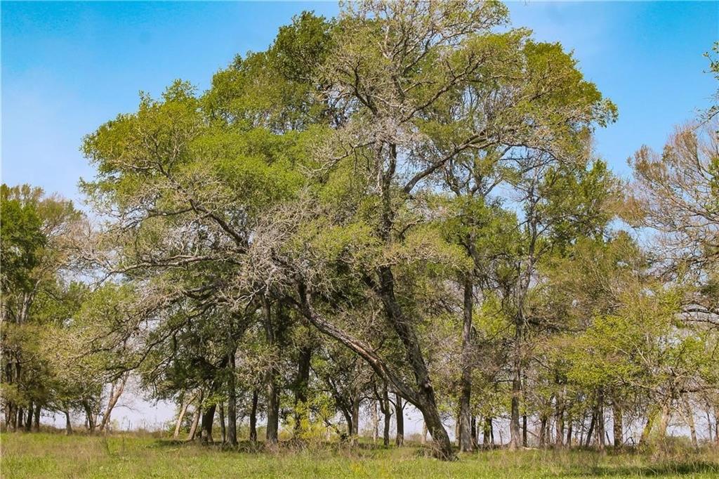 Tbd Cr 151 Property Photo 5