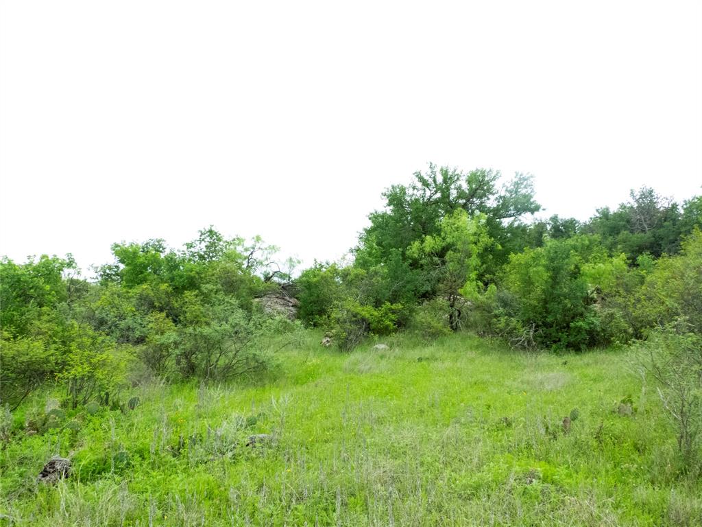 12725 County Road 105 Property Photo 19
