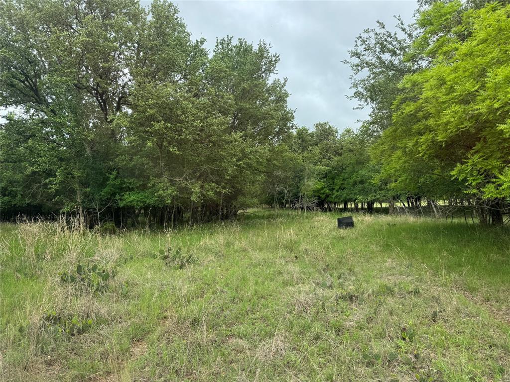 Tbd Guadalupe Property Photo 1