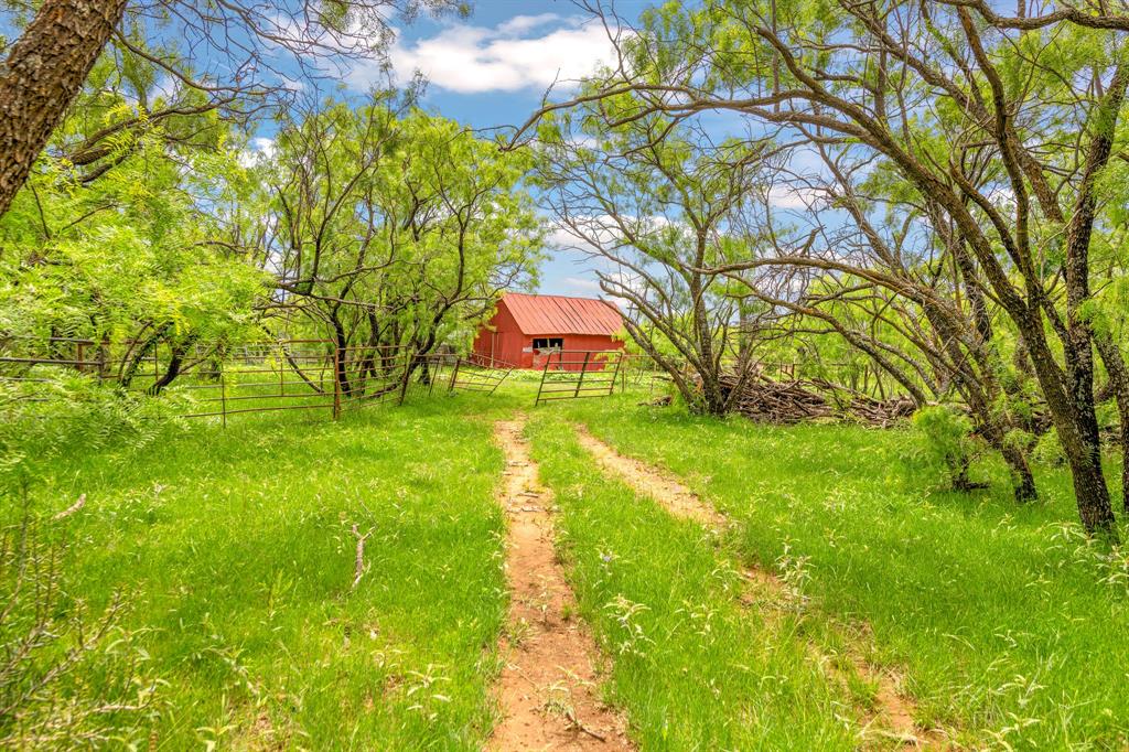 Tbd Cr 133 Property Photo 5