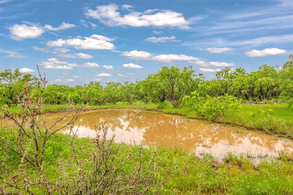 Tbd Cr 133 Property Photo 12
