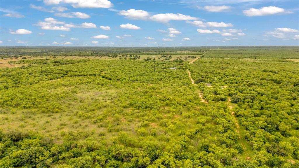 Tbd Cr 133 Property Photo 24