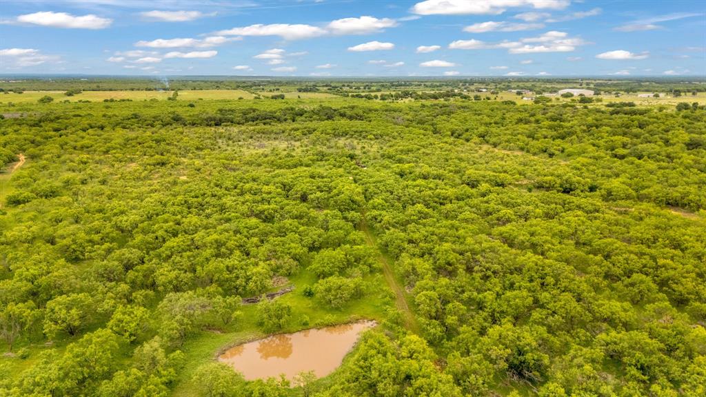 Tbd Cr 133 Property Photo 29