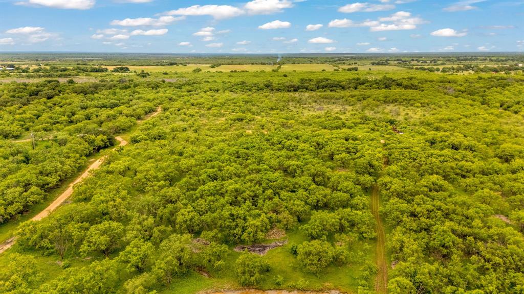 Tbd Cr 133 Property Photo 32
