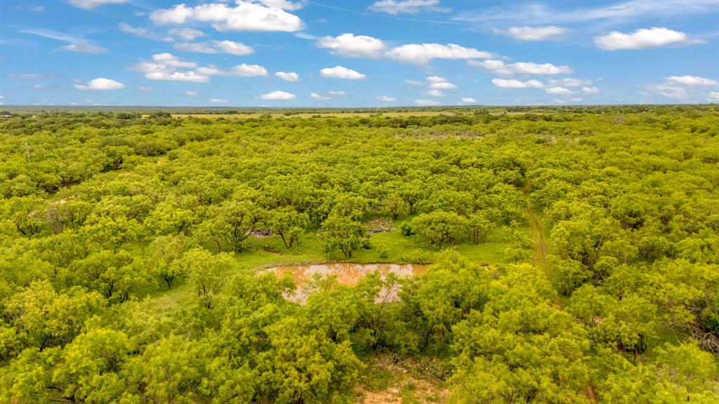 Tbd Cr 133 Property Photo 33