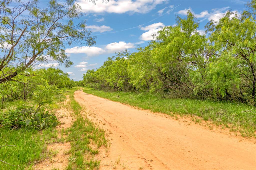 Tbd Cr 133 Property Photo 36
