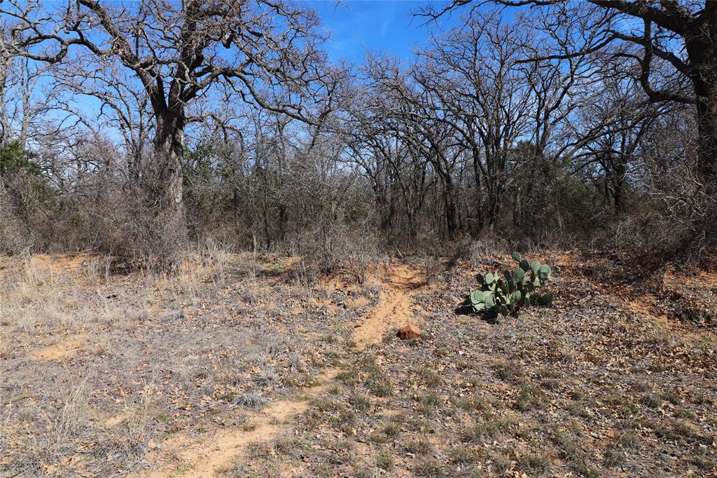 Tbd Cr 139 Property Photo 12