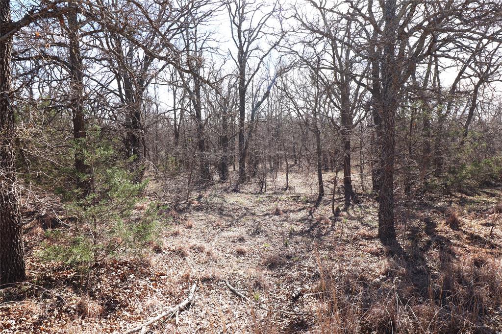 Tbd Cr 139 Property Photo 18