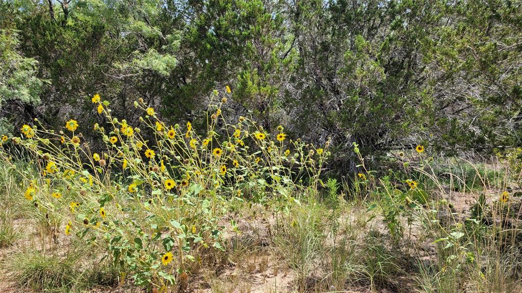 Tbd Cr 139 Property Photo 32