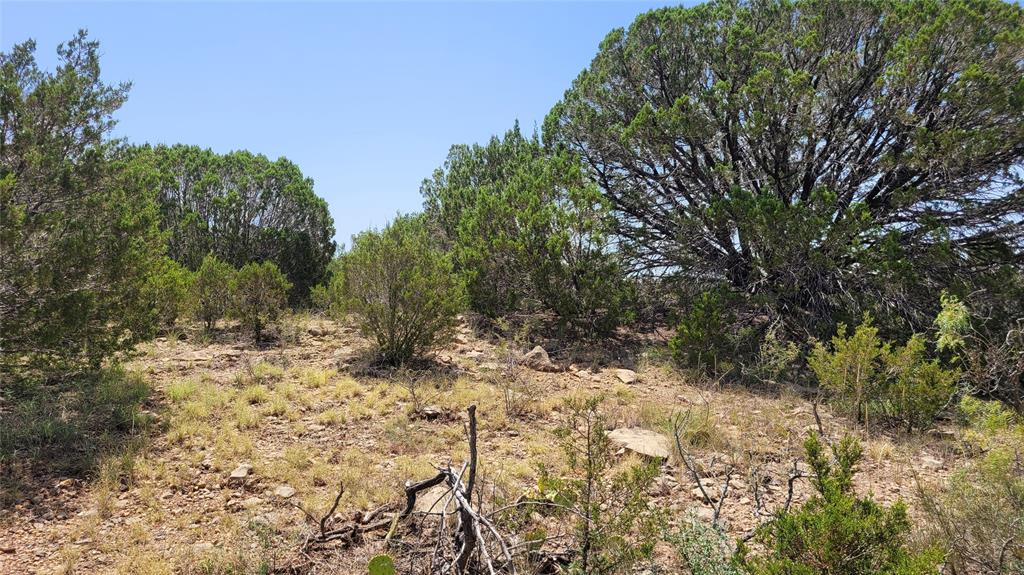 Tbd Cr 139 Property Photo 34