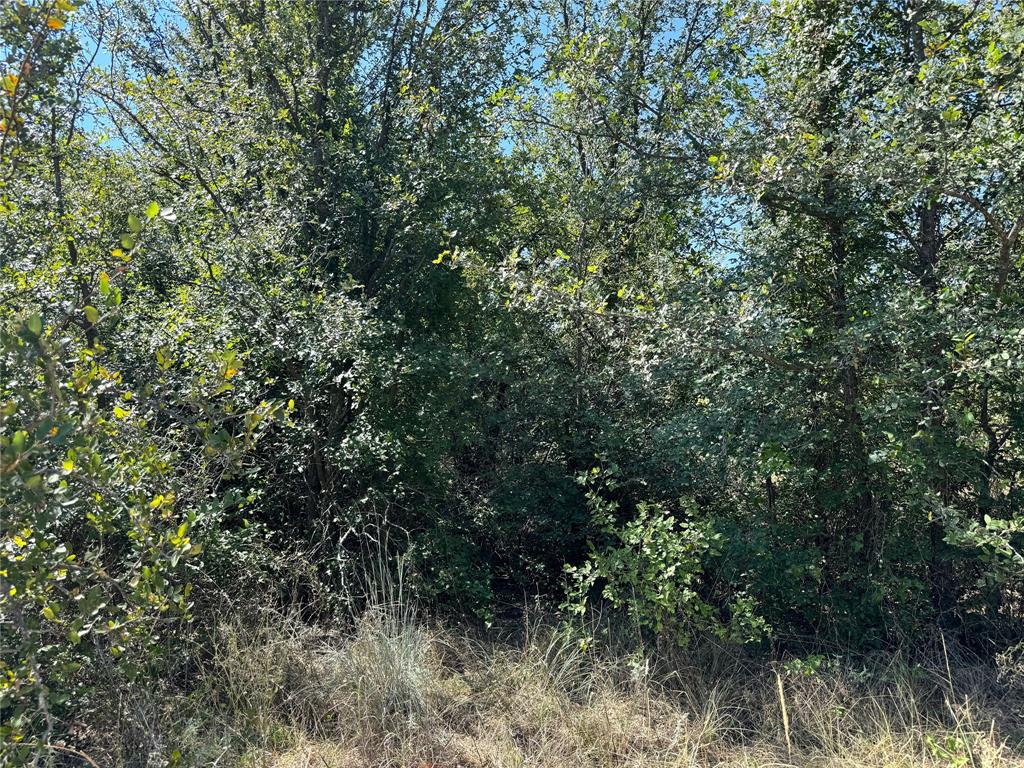 Tbd Cr 139 Property Photo 37
