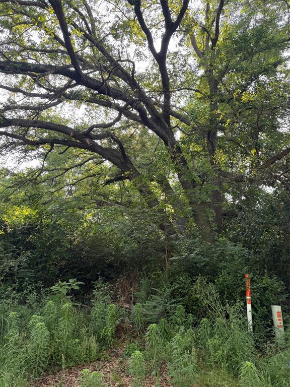 10946 Clover Lane Property Photo 3