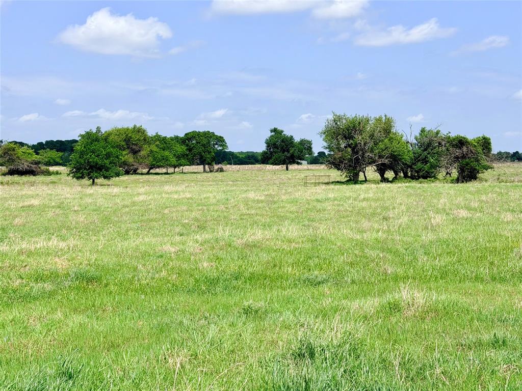 Tbd 11 Acres Fm 1183 Property Photo 3