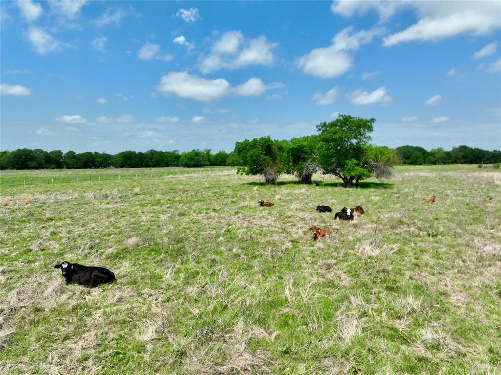 Tbd 11 Acres Fm 1183 Property Photo 4