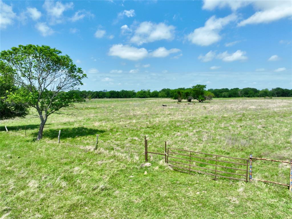 Tbd 11 Acres Fm 1183 Property Photo 5
