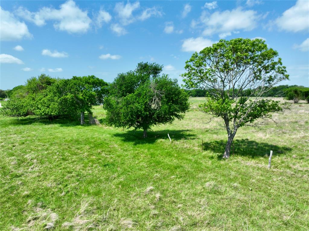 Tbd 11 Acres Fm 1183 Property Photo 6