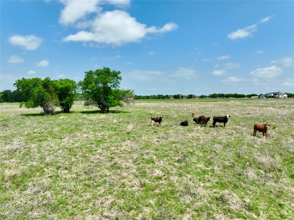 Tbd 11 Acres Fm 1183 Property Photo 8